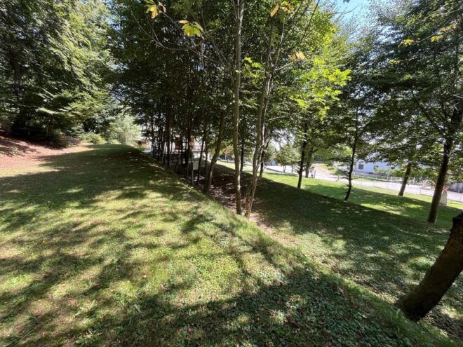 Camping and Outdoor Activities - Outdoor Adventure Activities