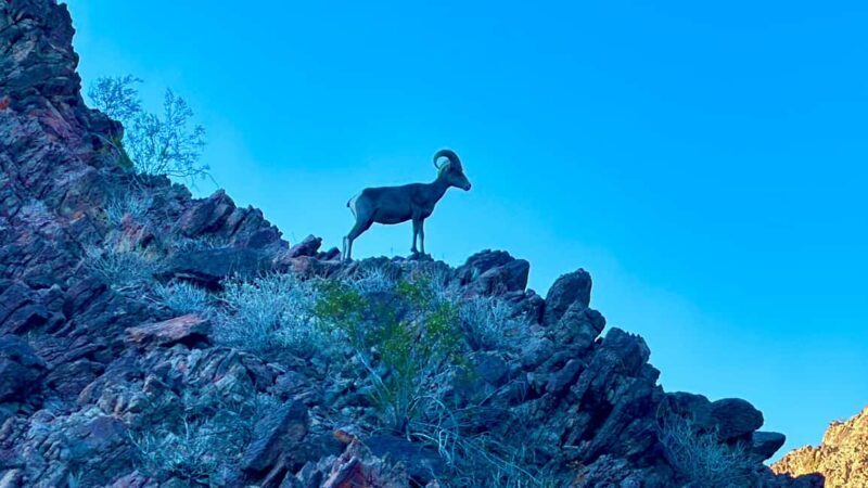 Camping Las Vegas Trip from Base of Hoover Dam, Black Canyon - Good To Know