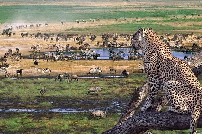 Camping Safari Great Adventure - 5 Day - Additional Details and Accessibility