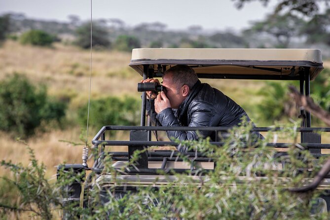 Camping Safari Great Adventure - 5 Day - The Sum Up