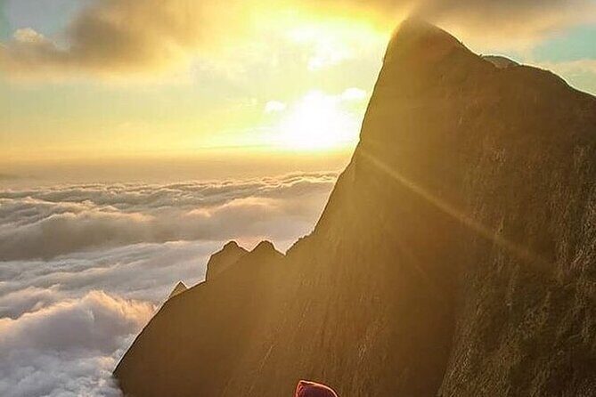 Camping Suriyaneli/Munnar Kerala - Practical Details: What You Should Know