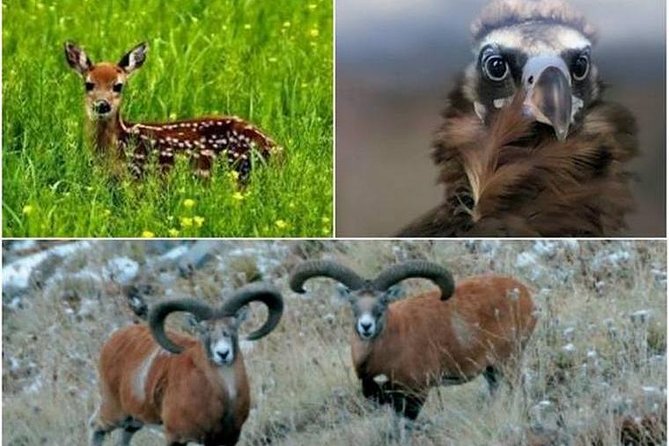 Camping Tour at Khosrov Reserve - Itinerary Highlights