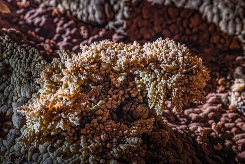 Camping & Trekking 3D2N Tour: Hung Thoong Cave System Exploration - Booking, weather, and a few questions to settle