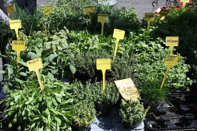 Campo Dei Fiori Market and Trevi Fountain District Food & Wine Tour in Rome - Questions and Help