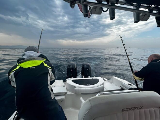 Campo Gibraltar Private Charter - Boat Trip Half Day - Language and Guide