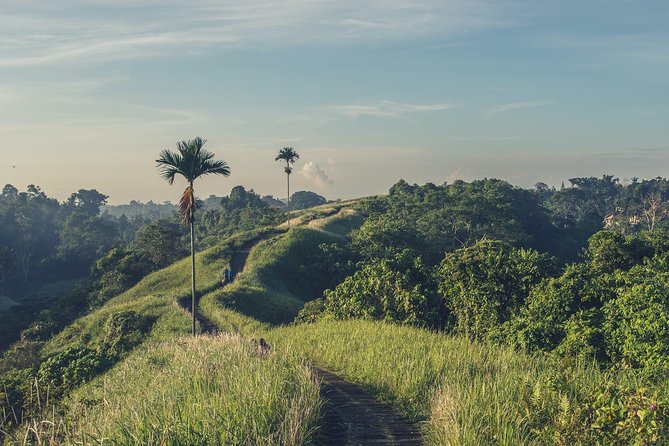 Campuhan Ridge Walk Trekking - Rice Terraces - Volcano and Water Temple - Scenic Rice Terrace Hike