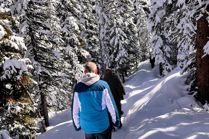 Can/Banff :Columbia Icefield, Crowfoot Glacier and Bow Lake, Tour - The Sum Up