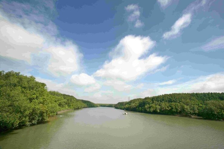 Can Gio: Discovery Vam Sat EcoPark - Can Gio Island Day Trip - Free Cancellation and Flexible Reservations