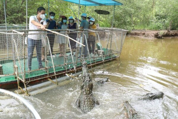Can Gio Mangrove 1 Day - Important Information