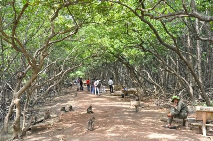 Can Gio Mangrove Biosphere Reserve 1 Day - Itinerary Details
