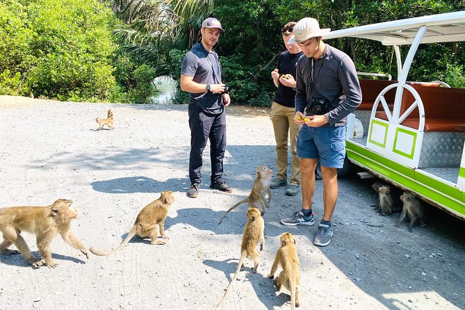 Can Gio Mangrove Biosphere Reserve by Premier Speed Boat - Reviews and Support