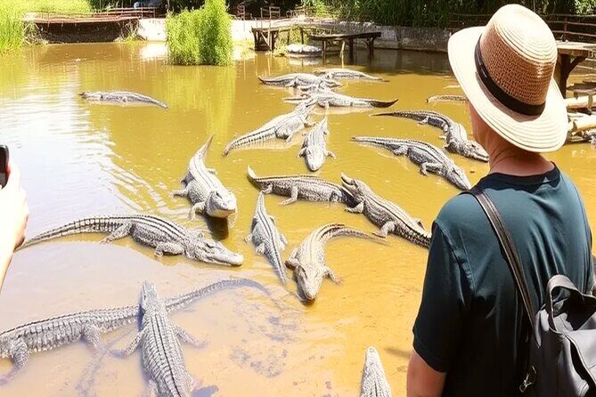 Can Gio Mangrove Biosphere Reserve Canoe & Wildlife Tour - The Sum Up
