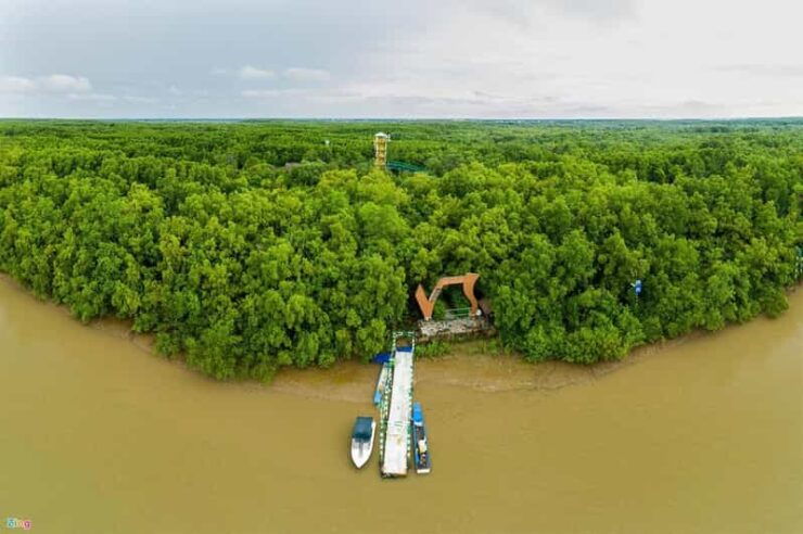 Can Gio Mangrove Forest 1 Day - Good To Know