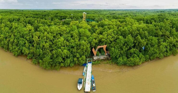 Can Gio Mangrove Forest 1 Day - Itinerary Highlights