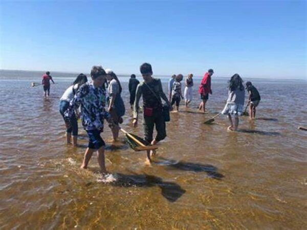Can Gio Mangrove Forest 1 Day - Wildlife Encounters