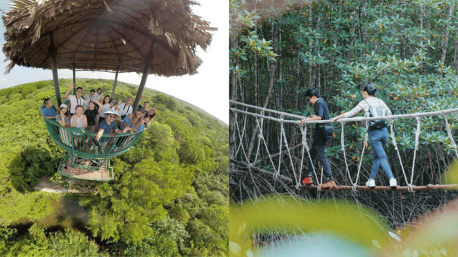 Can Gio Mangrove Forest and Monkey Island 1 Day - Included Activities and Amenities