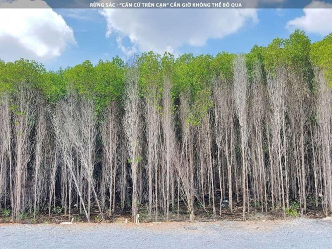Can Gio Mangrove Forest and Monkey Island 1 Day - Additional Costs to Consider