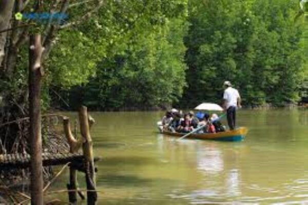 Can Gio Mangrove Forest and Monkey Island Full Day Tour - Cancellation Policy
