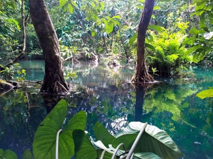 Can Gio Mangrove Forest and Monkey Island Full Day Tour - Good To Know
