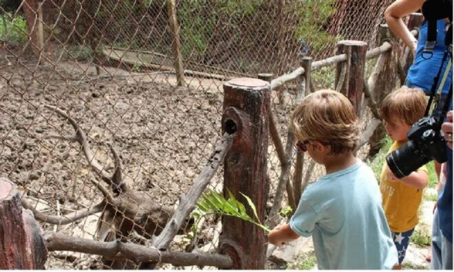 Can Gio Mangrove Forest and Monkey Island Full Day Tour - Daily Itinerary