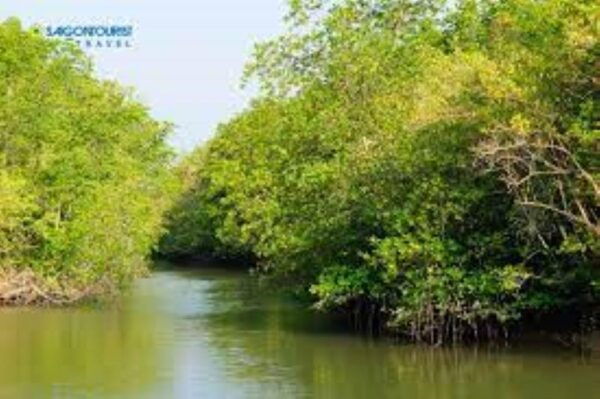 Can Gio Mangrove Forest and Monkey Island Full Day Tour - Nearby Attractions