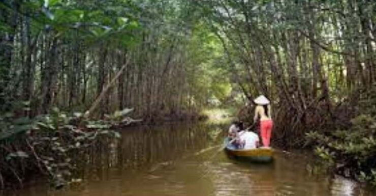 Can Gio Mangrove Forest and Monkey Island Full Day Tour - Good To Know