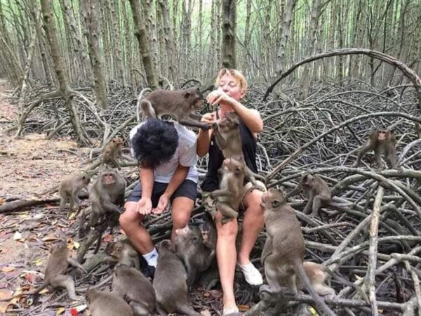 Can Gio Mangrove Forest and Monkey Island Full Day Tour - Preparation and Recommendations