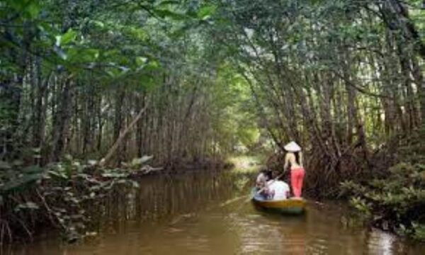 Can Gio Mangrove Forest and Monkey Island Full Day Tour - Transportation and Pickup Details