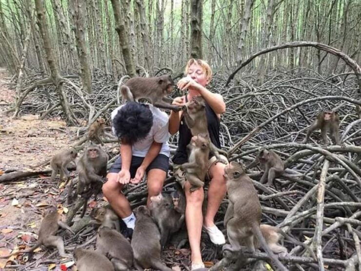 Can Gio Mangrove Forest and Monkey Island Full Day Tour - Biodiversity of Can Gio