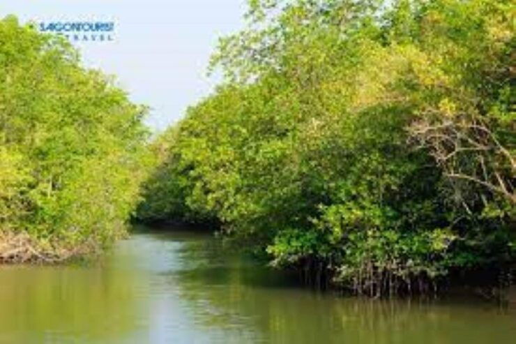 Can Gio Mangrove Forest and Monkey Island Full Day Tour - Good To Know