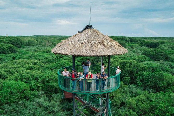 Can Gio Mangrove Forest Biosphere Private Tour - Ho Chi Minh City - Visual Experience Through Traveler Photos