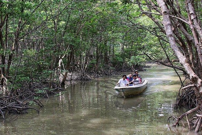 Can Gio Mangrove Forest Biosphere Private Tour - Ho Chi Minh City - How to Get to Can Gio Mangrove Forest Biosphere