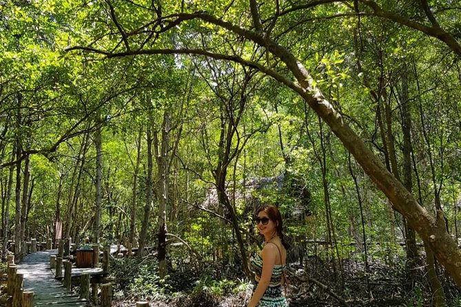 Can Gio Mangrove Forest Biosphere Private Tour - Ho Chi Minh City - The Sum Up