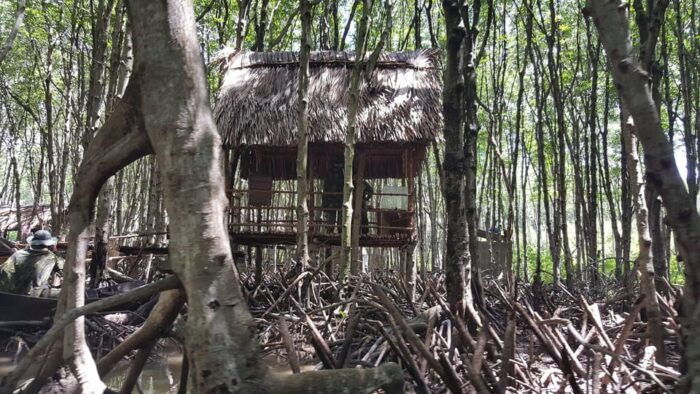 Can Gio Mangrove Forest & Monkey Island W Small Group Tour - Tour Booking and Availability