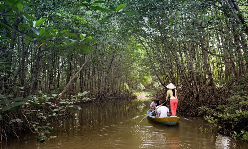 Can Gio Mangrove Forest Premium Speedboat Tour - Can Gio by speedboat: the useful details