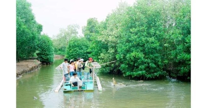 Can Gio Mangrove Forest - Unique Activities and Experiences