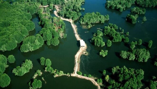 Can Gio Mangrove Forest - Highlights of the Visit