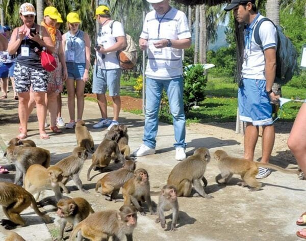 Can Gio Mangrove Forest - Customer Feedback and Ratings