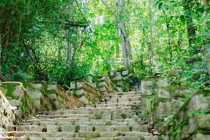 Can Gio Mangrove Forest, Thanh An Island, Vung Tau 2 Days Tour - Good To Know
