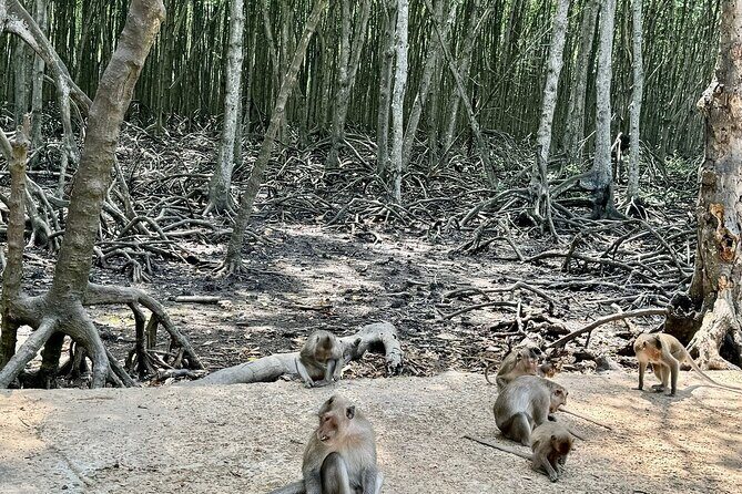Can Gio Mangrove Tour and Monkey Island Tour - Final Words