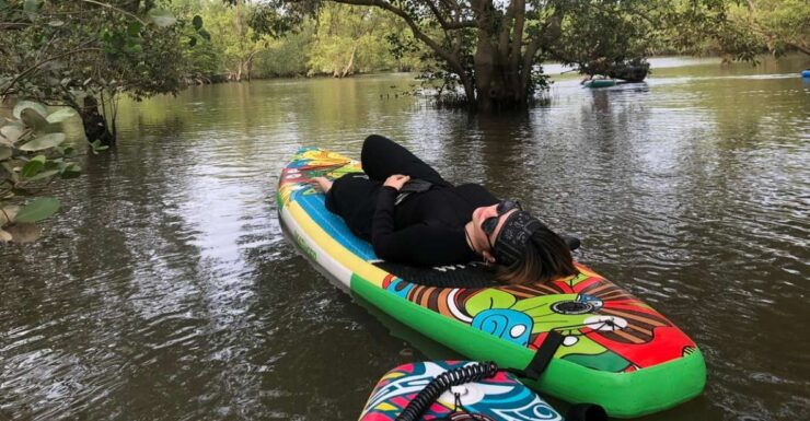 Can Gio Paddleboarding Private Full-Day Trip - Activity Details