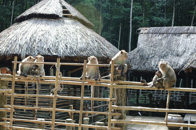 Can Gio - Vam Sat Mangrove Tour Forest - Unforgettable Boat Ride Experience