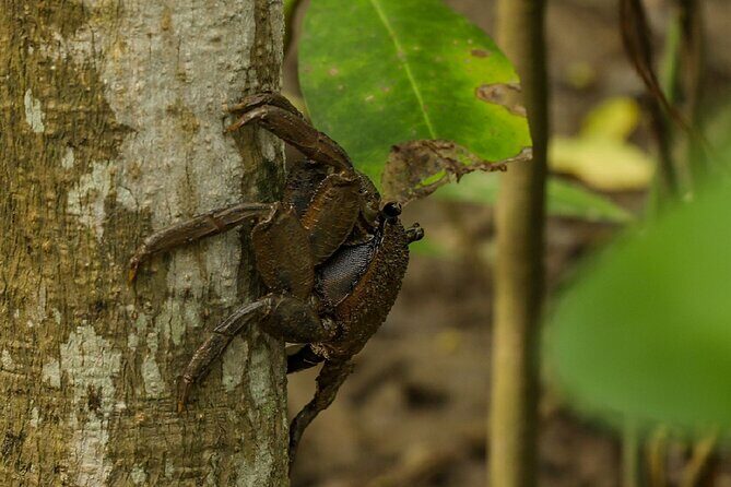 Can Gio Wildlife & Culture Experience  Scenic Boat Tour - Who Should Consider This Tour?