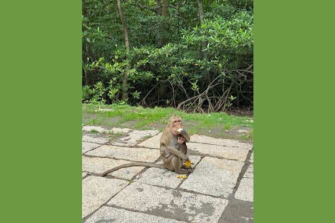 Can Gio Wildlife & Culture Experience  Scenic Boat Tour - Who is This Tour Best For?