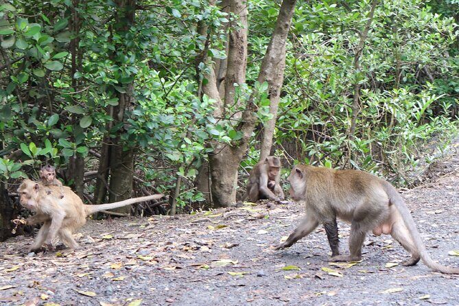 Can Gio Wildlife & Culture Experience  Scenic Boat Tour - FAQs