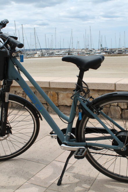 Can Pastilla: E-Bike Rental - Features of the Electric Bicycles
