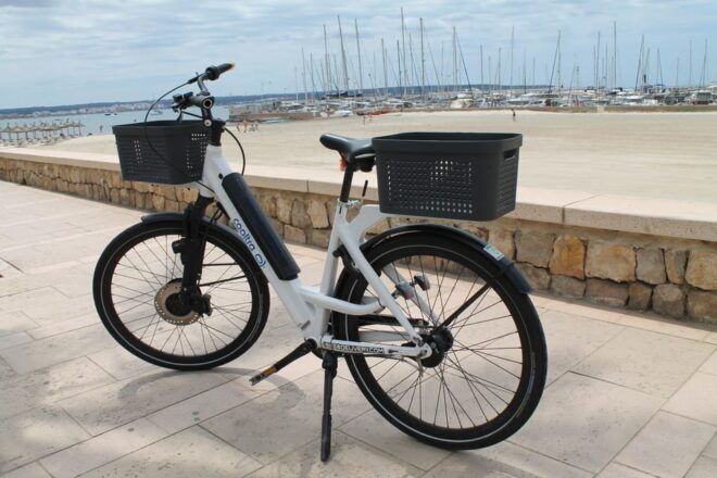Can Pastilla: E-Bike Rental - Customer Feedback and Reviews