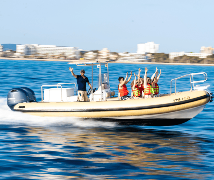 Can Pastilla: Speed Boat Adrenaline & Snorkelling - Exploring Playa De Palmas Crystal Waters