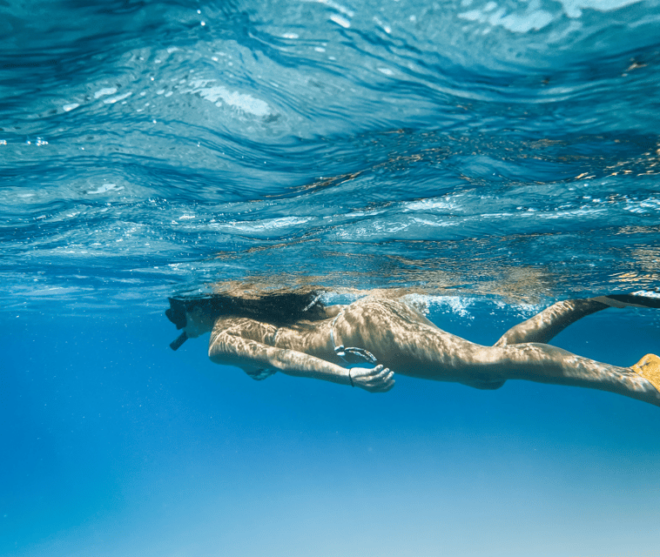 Can Pastilla: Speed Boat Adrenaline & Snorkelling - Pricing and Reservation Flexibility