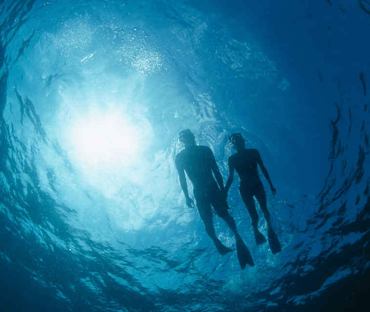 Can Pastilla: Visit Palma Speedboat Adrenaline & Snorkelling - Palma Cathedral Views